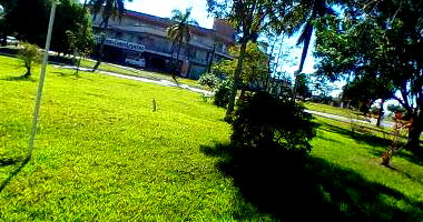 Terreno 1000m² com benfeitorias em Alta Floresta