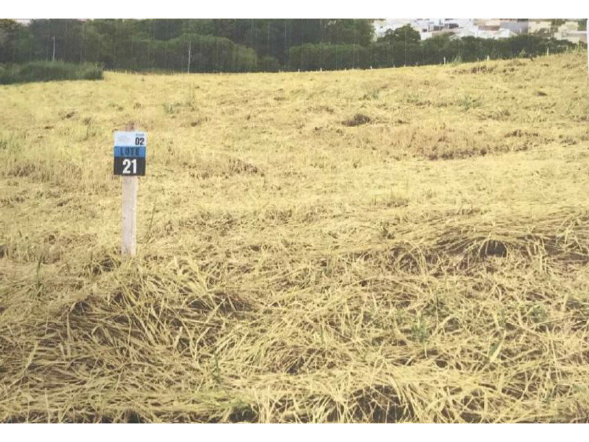 Terreno de 239,75m² em Royal Residence