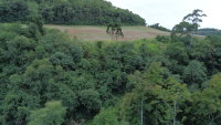Terreno rural de 100.000 m² em Carlos Gomes
