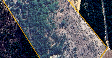 Chácara com 14,52ha em Itapirapuã/GO