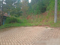 Terreno Amplo em Nova Petrópolis