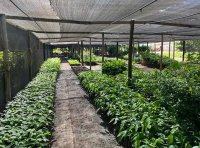 Terreno Rural com Casa em Posse/GO