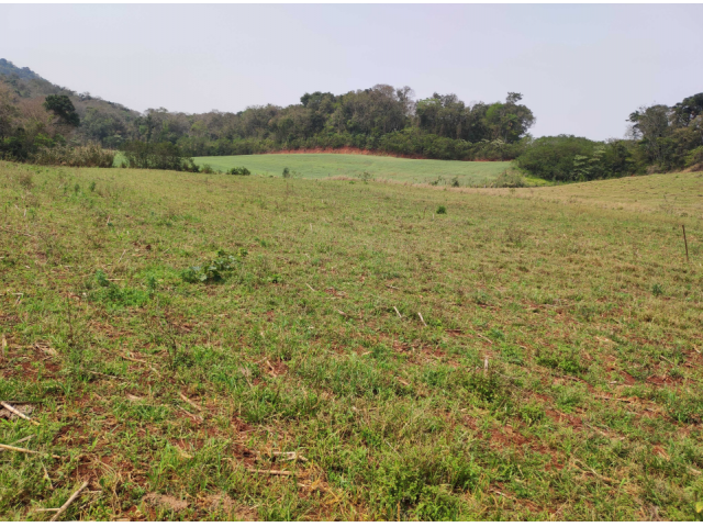 Chácara com 9,51 hectares em Dois Vizinhos/PR - Parte Ideal 50%