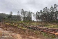 Imóvel rural com 29.885 m² em Rio Rufino