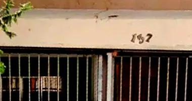 Sobrado com Edícula e 4 Dormitórios em Itaquera