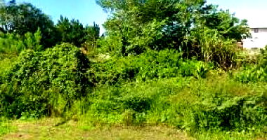 Terreno em Palhoça/SC com 445,2m²