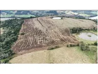 Imóvel Rural com Área de 62.500,00m² em Iraí - RS