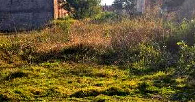 Terreno em Foz do Iguaçu/PR com 300m²