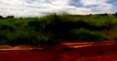 Terreno em Leilão com 239,75m² em Dracena/SP