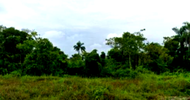 Gleba ampla de 52.500 m² com localização estratégica e matrícula regular