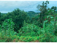Terreno de 531m² em Flor da Serra