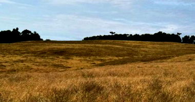 Terreno Rural com 206.000m² em Ibirapuitã/RS