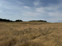 Terreno Rural com 206.000m² em Ibirapuitã/RS