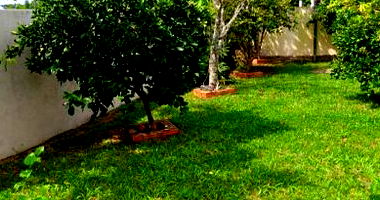 Imóvel Urbano com Área Total de 477,42m² em Frederico Westphalen/RS