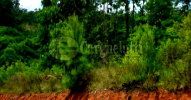 Terreno amplo de 1.565m² no Loteamento Rural Eldorado