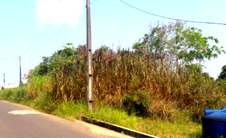 Terrenos Urbanos e Casas em Rio Branco/AC