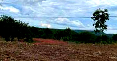 Fazenda Fartura II - 140,90 hectares em Monte Santo do Tocantins