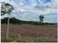 Fazenda Fartura II - 140,90 hectares em Monte Santo do Tocantins