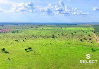 Fazenda Garça Branca com 237,08 Hectares em Paranhos/MS