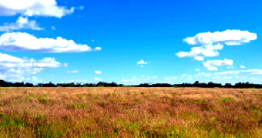 Espaçoso Sítio Rural com 484000 m² de Área Total
