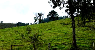 Imóvel Rural com 242.000 m² Ocupado