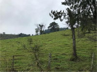 Imóvel Rural com 242.000 m²