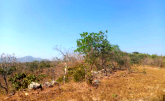 Fazenda com 1.452 hectares em Niquelândia/GO