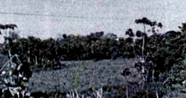 Terreno Rural com 30,0233 Hectares em Tarauacá - AC