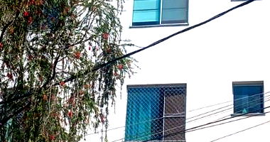 Apartamento Ocupado com 1 Vaga na Vila Clóris, Belo Horizonte