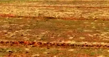 Lote Rural com 20,32ha em Pérola - PR