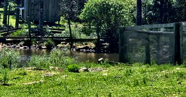 Terreno Rural com 48.496,44m² em São Joaquim/SC