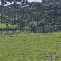 Terreno Rural com 48.496,44m² em São Joaquim/SC