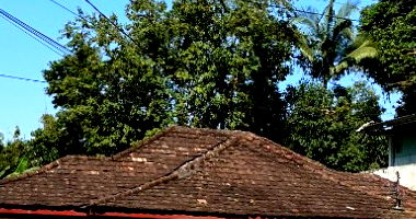 Terreno amplo no Salto do Norte com 762 m²