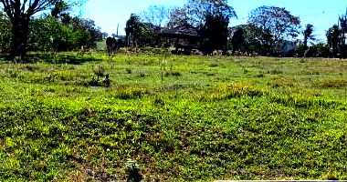 Lote desocupado com 597 m² de terreno, ideal para construção