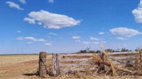 Fazenda Santo Antônio - 434 ha Rural - Ocupada
