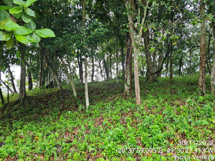 Terreno Urbano de 3.255 m² em Nova Veneza-SC