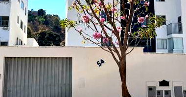Apartamento com 2 Quartos e 1 Vaga em Santa Luzia