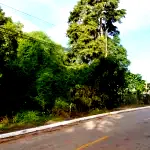 Espaçoso Terreno de 733 m² para Desenvolvimento e Construção