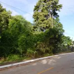 Espaçoso Terreno de 733 m² para Desenvolvimento e Construção
