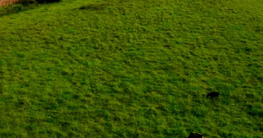 Fazenda Santo Onofre - Pecuniária com 26,3790 Ha