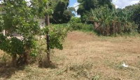 Terreno urbano de 225m² em Mariluz-PR