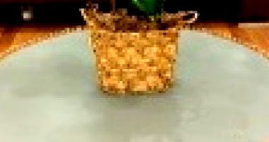Lote 001: Conjunto de Móveis Elegantes