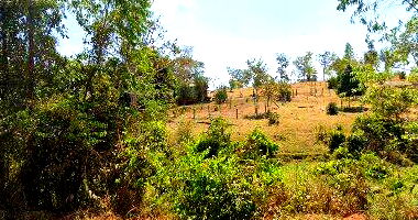 Parte Ideal de 4,0ha em Primavera de Rondônia