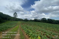 Terreno rural de 3,57 ha em Rebouças/PR