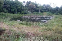 Terreno rural de 40.000 m² em Lajeado do Bugre