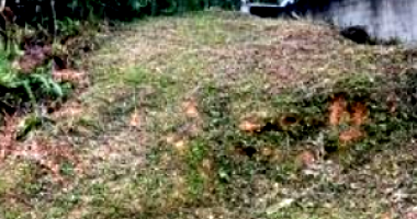 Terreno em Blumenau com 644,70 m²