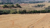 Imóvel Rural com 16,67 ha em Patos de Minas