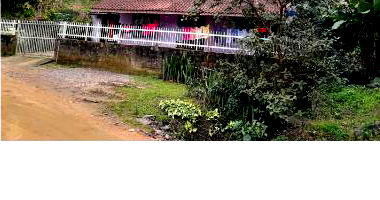Terreno com Casa e Eucalipto em Presidente Getúlio/SC