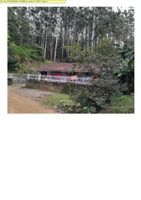 Terreno com Casa e Eucalipto em Presidente Getúlio/SC