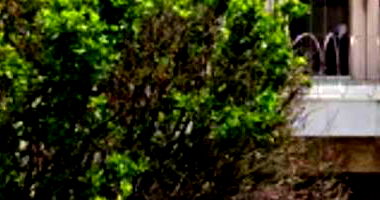 Casa Ocupada no Jardim Gonzaga com 195m² de Área Construída